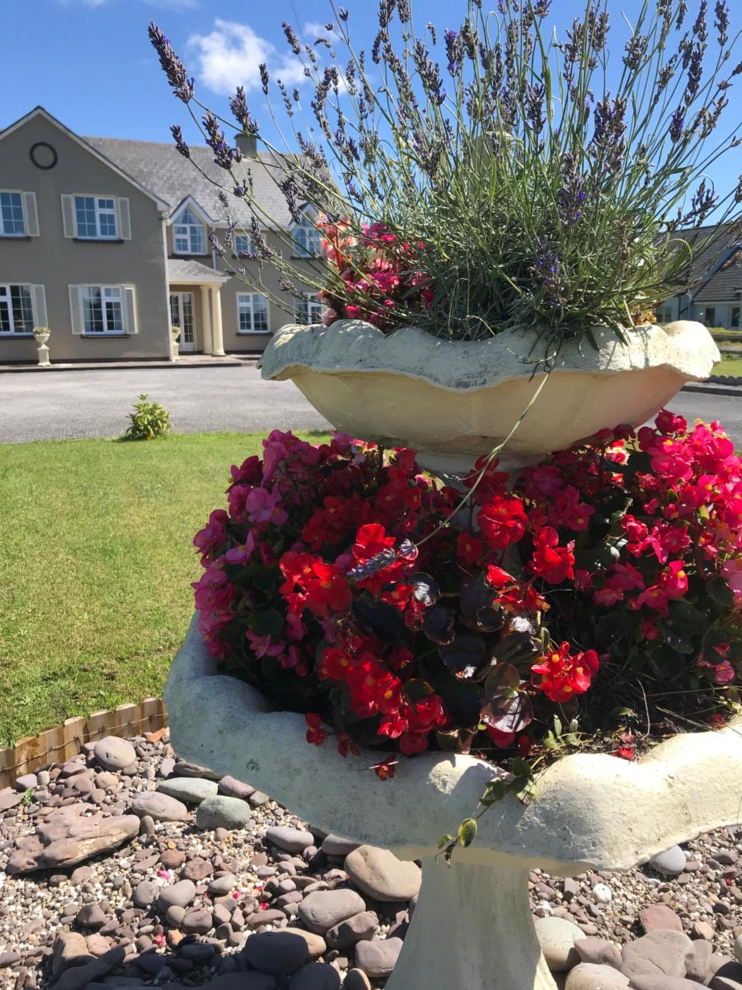Kielty'S Of Kerry Bed And Breakfast Waterville Exterior photo